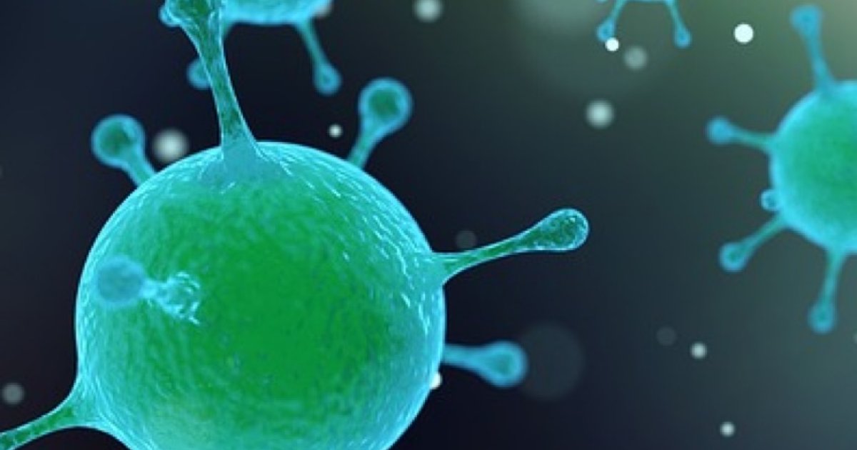 Het Laatste Nieuws Over Het Coronavirus Gemeente Roerdalen